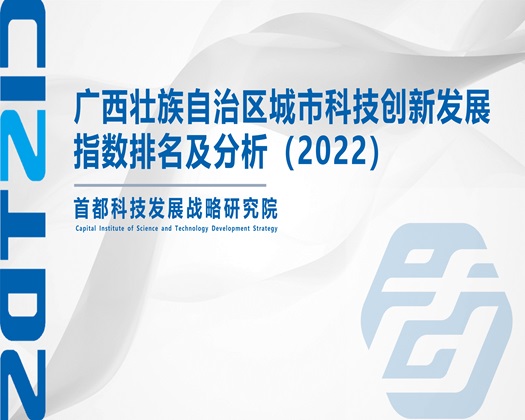 一个人看的性感小骚B被操视频【成果发布】广西壮族自治区城市科技创新发展指数排名及分析（2022）